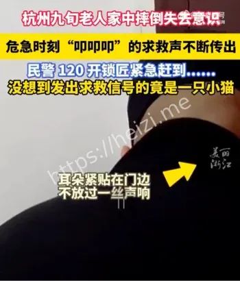 九旬老人摔倒小猫智商救主