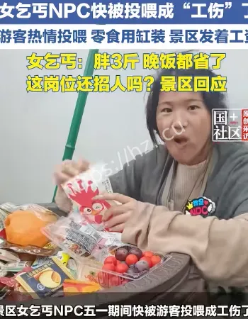 女乞丐NPC